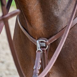 Collier de chasse 3 points Stationata