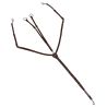 Collier de chasse 3 points Stationata
