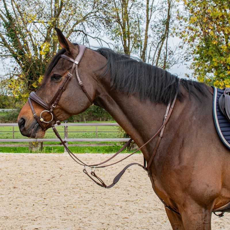 Martingale à Anneaux H&G Martingale à Anneaux H&G