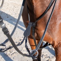 Martingale à Anneaux H&G