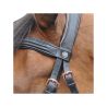 Bridon Canter rose gold