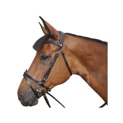 Bridon Canter rose gold