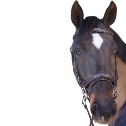 Bridon surpiqué combiné Canter