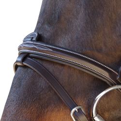 Bridon surpiqué combiné Canter