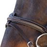 Bridon surpiqué combiné Canter
