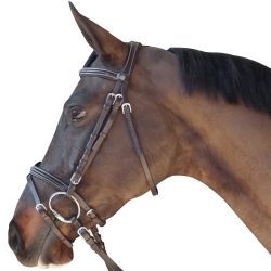 Bridon surpiqué combiné Canter