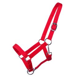 Licol poulain Yearling QHP