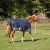 Chemise imperméable doublée Coton Horse & Go Marine 
