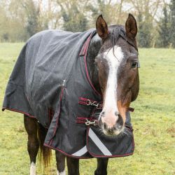 Couverture imperméable 0g 1200D HORSE&GO