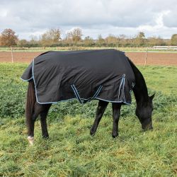 Chemise imperméable doublée Coton Horse & Go Noir