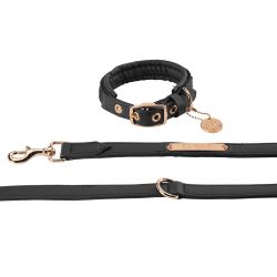 Collier et Laisse pour chien Heritage Eskadron