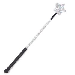 Cravache étoile Horse & Go