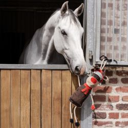 Jouet pour cheval Renne Rudi Waldhausne