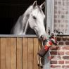 Jouet pour cheval Renne Rudi Waldhausne
