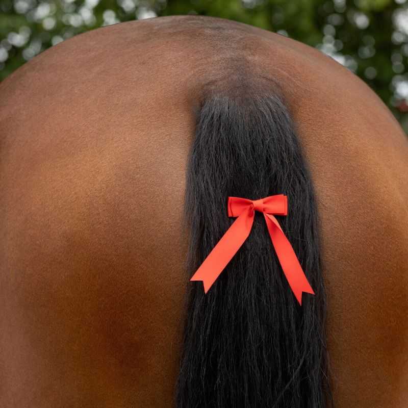 Noeud rouge pour queue concours QHP