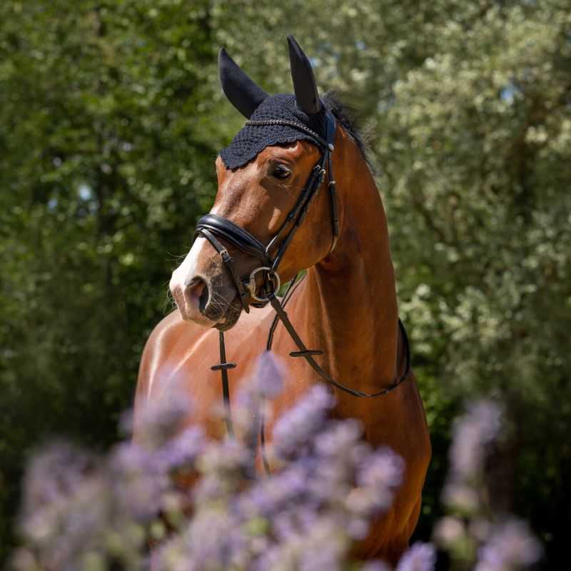 QHP Frontal Anti-Mouche Knotted - Franges Pour Cheval, Nylon & Polyester, Fixation Licol Facile, Protection Tête