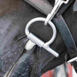 Bande latex pour mors Bit Tex