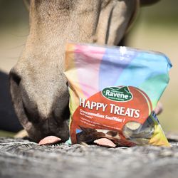 Bonbon Happy Treats Duo
