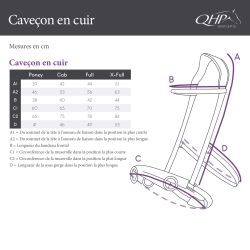 Caveçon cuir multifonctionnel en cuir QHP