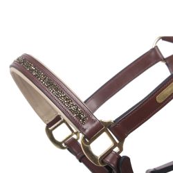 Licol cuir Lupine QHP