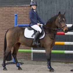 Veste de concours Junior Perry QHP