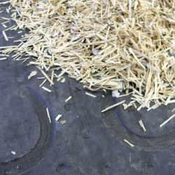 Tapis de box Belmondo Basic