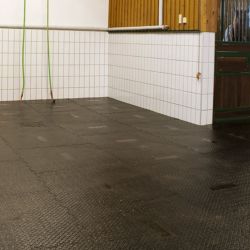 Tapis de sol zones humides Belmondo Paddock
