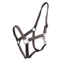 Licol nylon glissière Q-Essentials