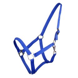 Licol nylon glissière Q-Essentials