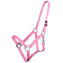 Licol nylon glissière Q-Essentials
