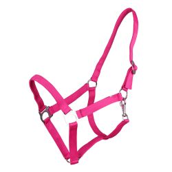 Licol nylon glissière Q-Essentials