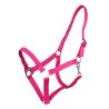 Licol nylon glissière Q-Essentials