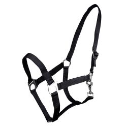 Licol nylon glissière Q-Essentials