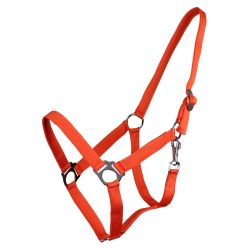 Licol nylon glissière Q-Essentials