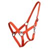 Licol nylon glissière Q-Essentials