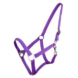 Licol nylon glissière Q-Essentials