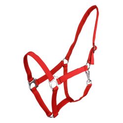 Licol nylon glissière Q-Essentials