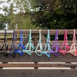 Licol nylon glissière Q-Essentials