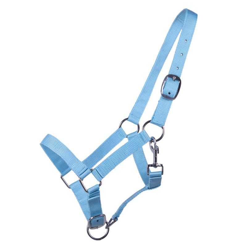 Licol poulain Yearling QHP Licol poulain Yearling QHP