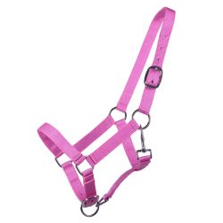 Licol poulain Yearling QHP