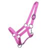Licol poulain Yearling QHP