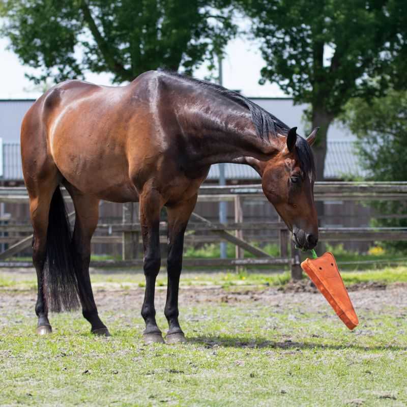 Jouet pour cheval XL QHP
