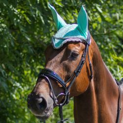 Bonnet anti-mouche Poney Color QHP