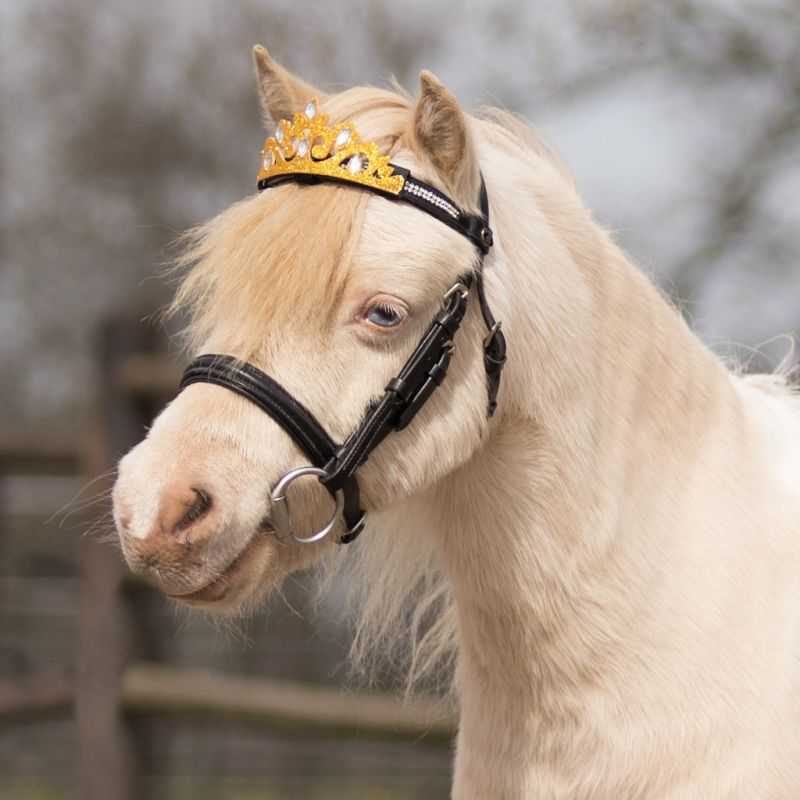 Couronne pour frontal QHP Couronne pour frontal QHP