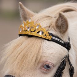 Couronne pour frontal QHP