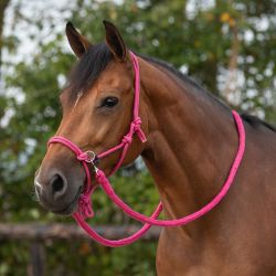 Licol corde avec rênes QHP