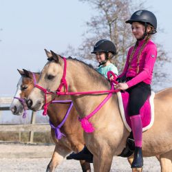 Licol corde avec rênes QHP
