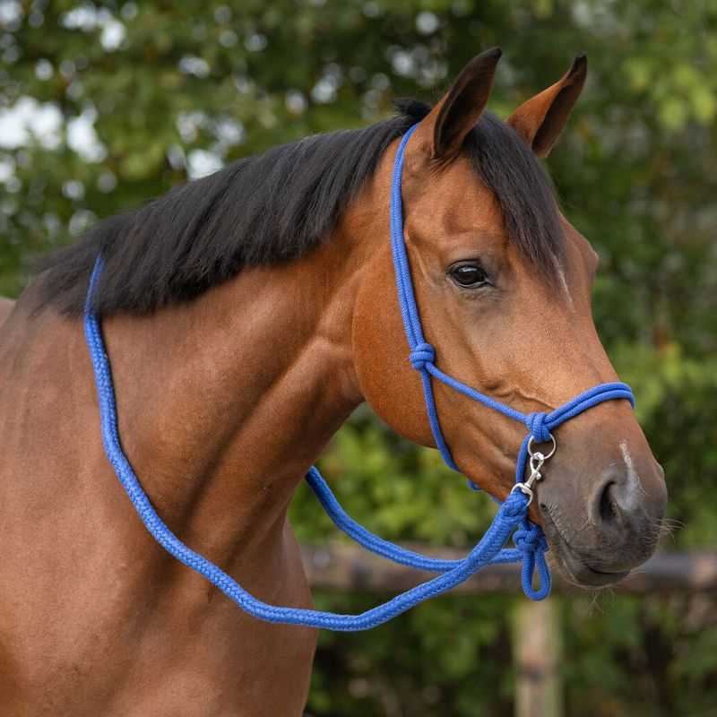 Licol corde avec rênes QHP