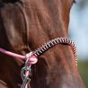 Licol corde et cordelette Liberty QHP