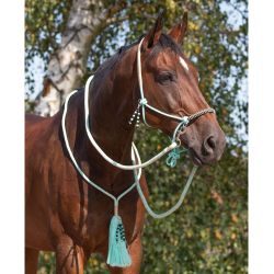 Licol corde et cordelette Liberty QHP